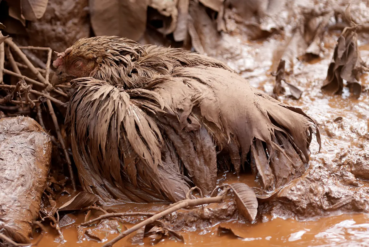 e29ca7c753ff24fe03d07e00ee030323