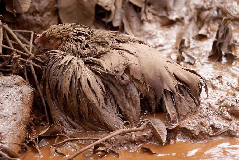 e29ca7c753ff24fe03d07e00ee030323