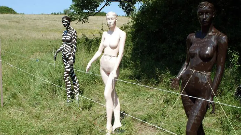 ACHTUNG-Nur-im-Zusammenhang-mit-der-aktuellen-Berichterstattung-ueber-die-Studie