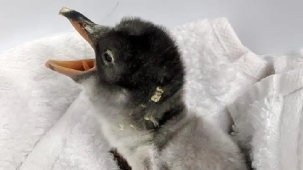 43522960-10156716078109254-5742815486039556096-n