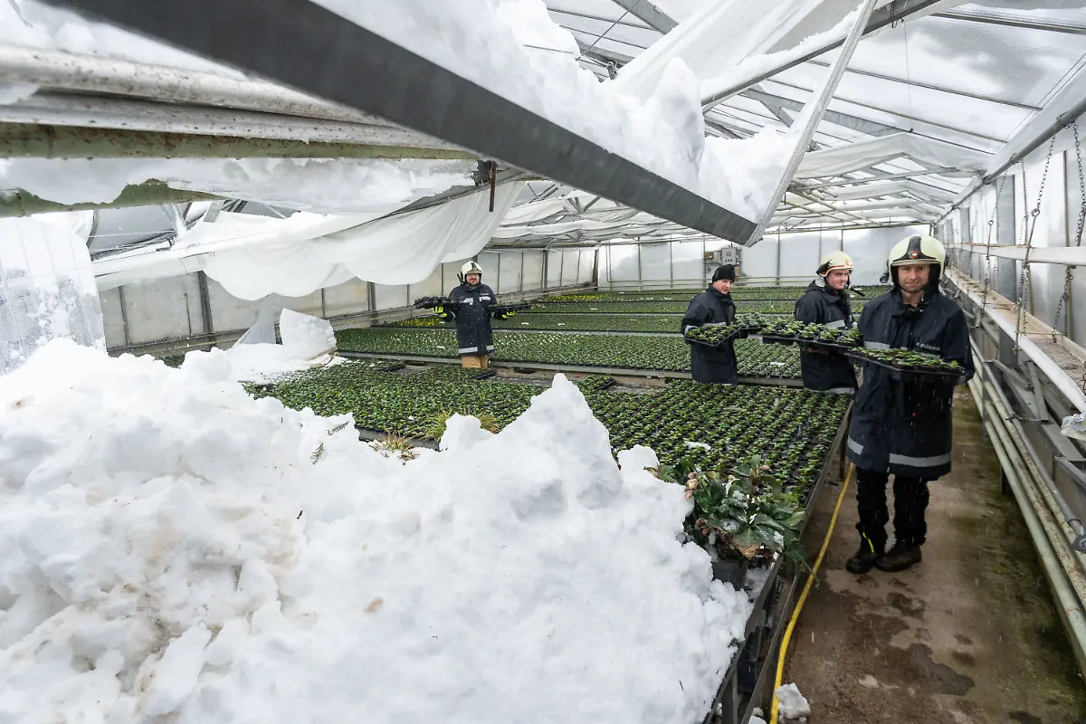 26a859baa1aa2eb1c6f9b002bae9b7a9