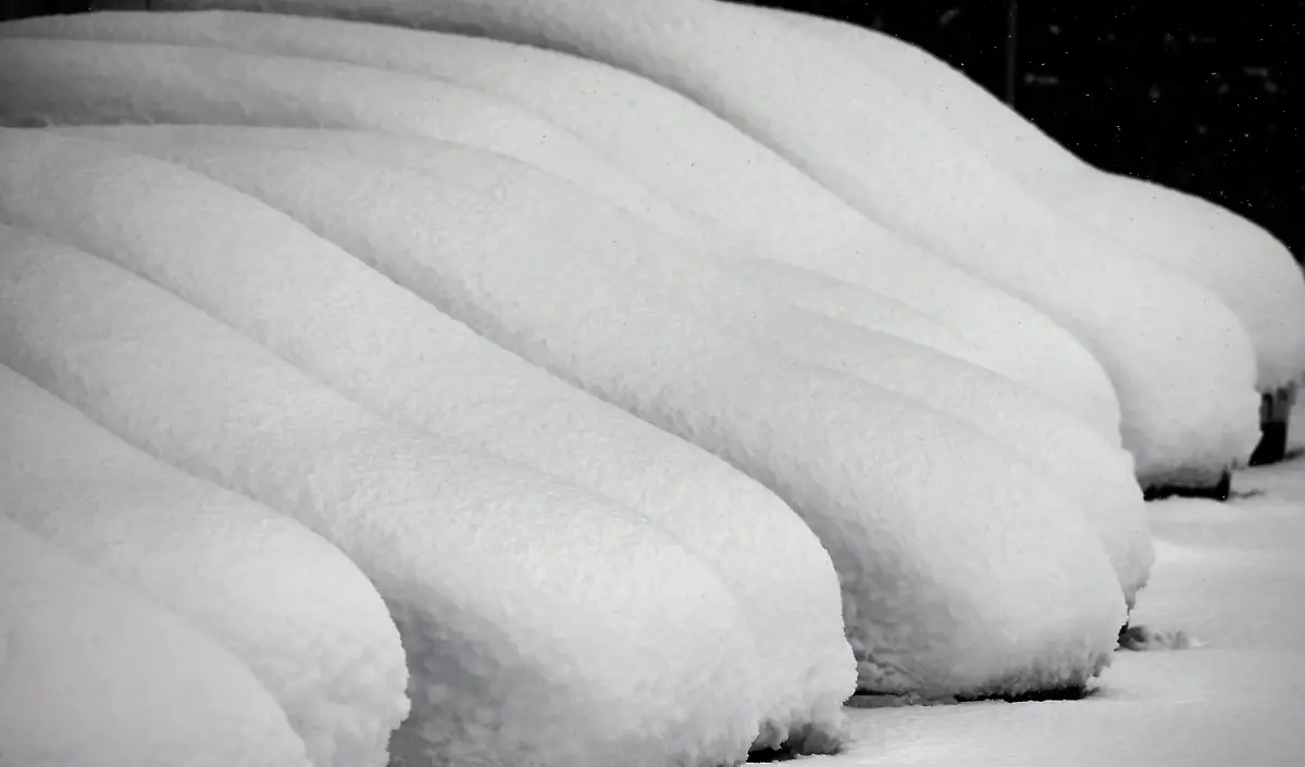 9901f3ce54004903a573b65940a9b8ad