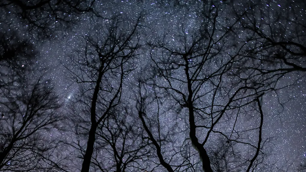 0ca69e088b547138b1dbea817b91a037