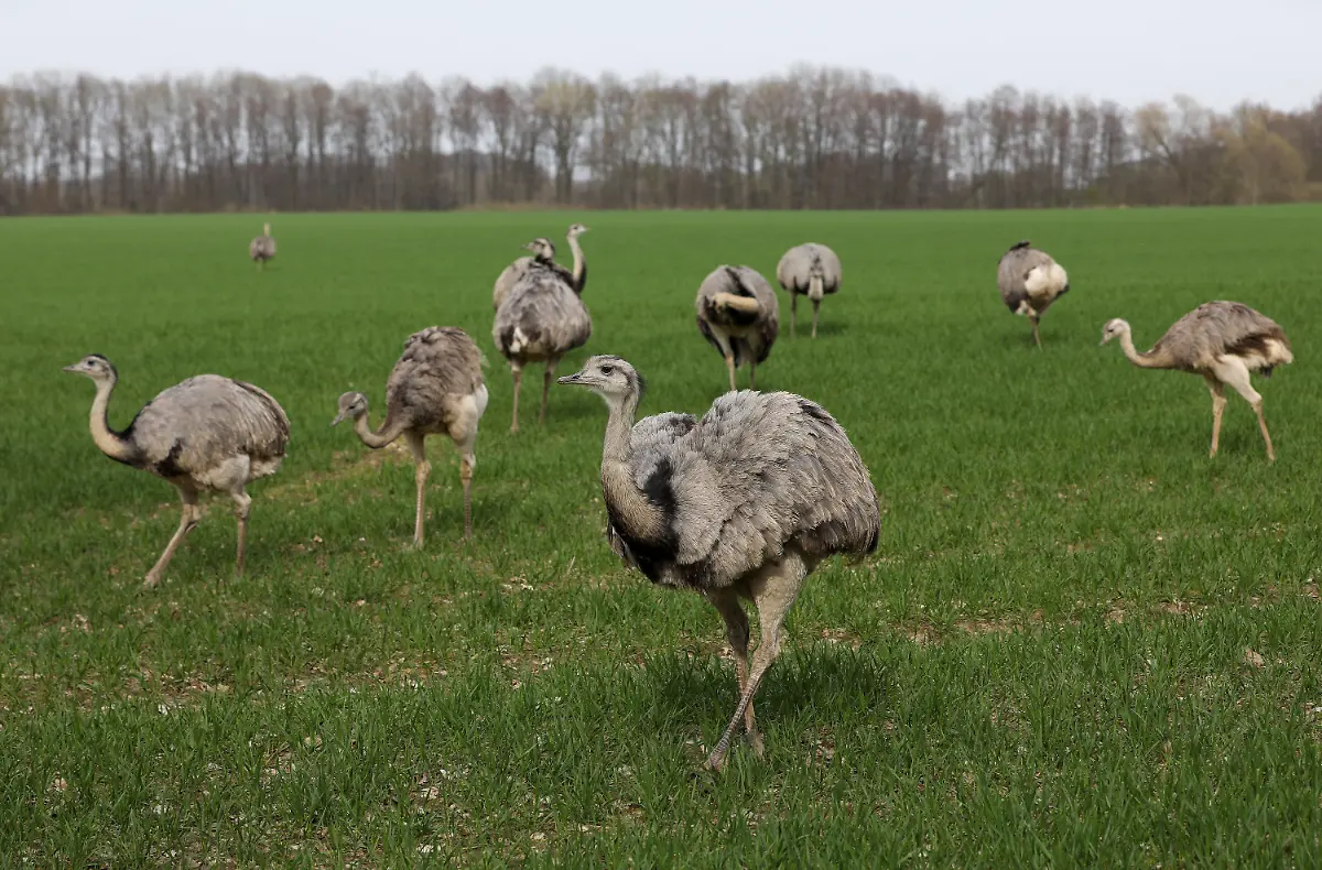 28183a738bd3be9213d8cf76d7b39109