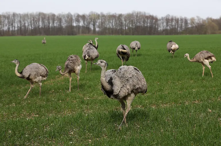 28183a738bd3be9213d8cf76d7b39109