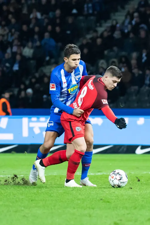 0859e232d1474f6a33079f429da86355