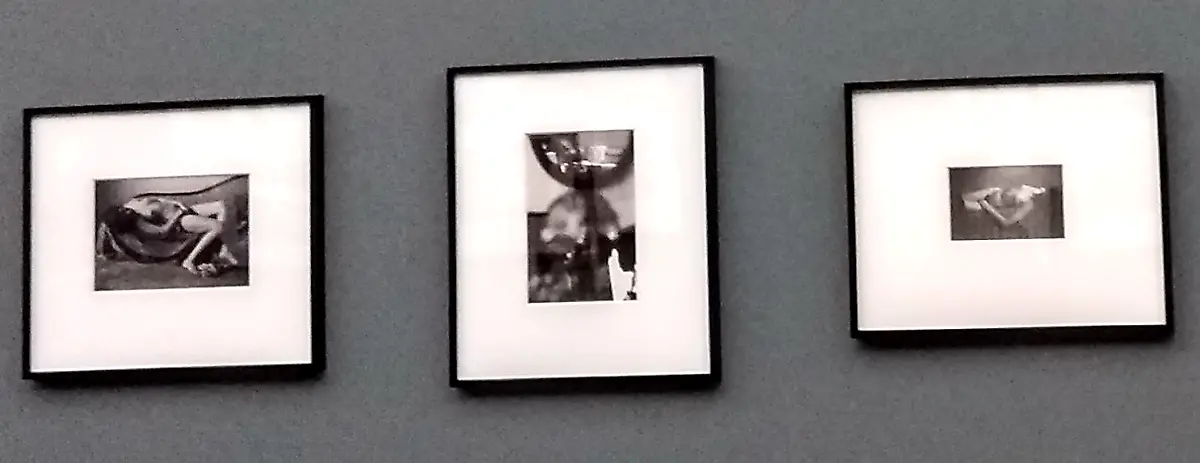 IMG-20181130-104034666-HDR-1