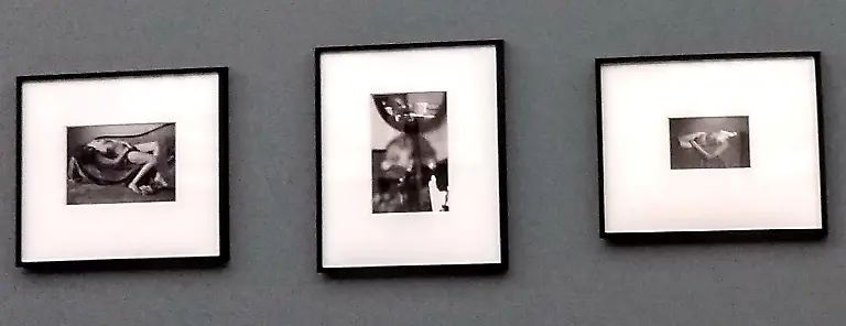 IMG-20181130-104034666-HDR-1