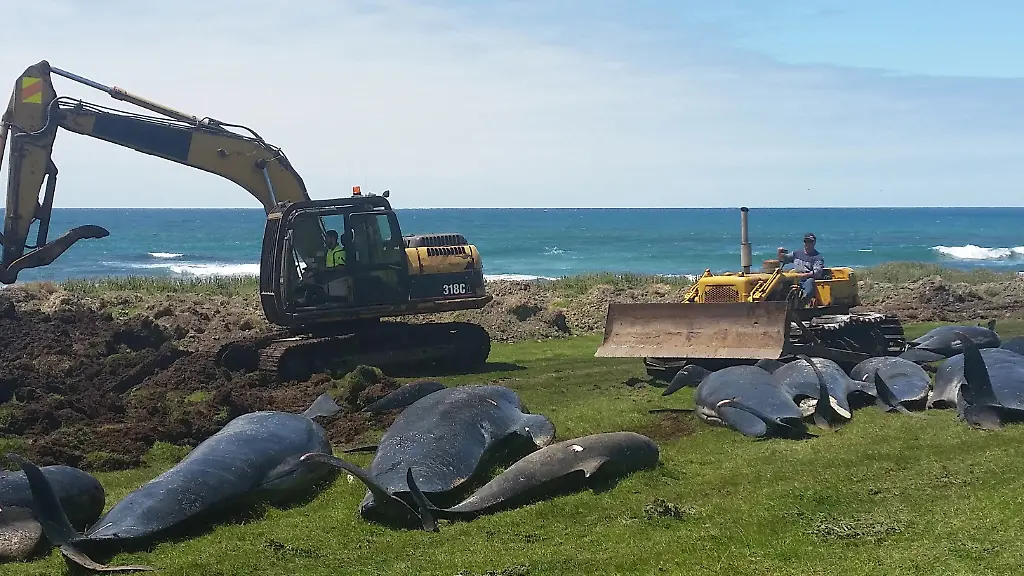 f950f9fb342f432ab987bfe15098671c