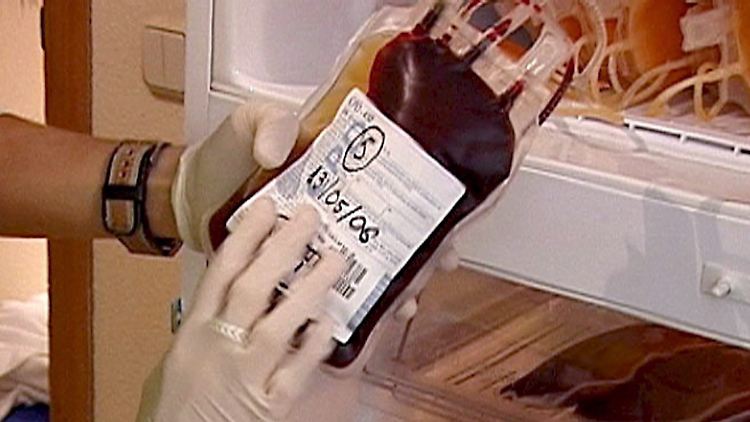 Mehr als 200 Blutproben wurden bei Eufemiano Fuentes sichergestellt.