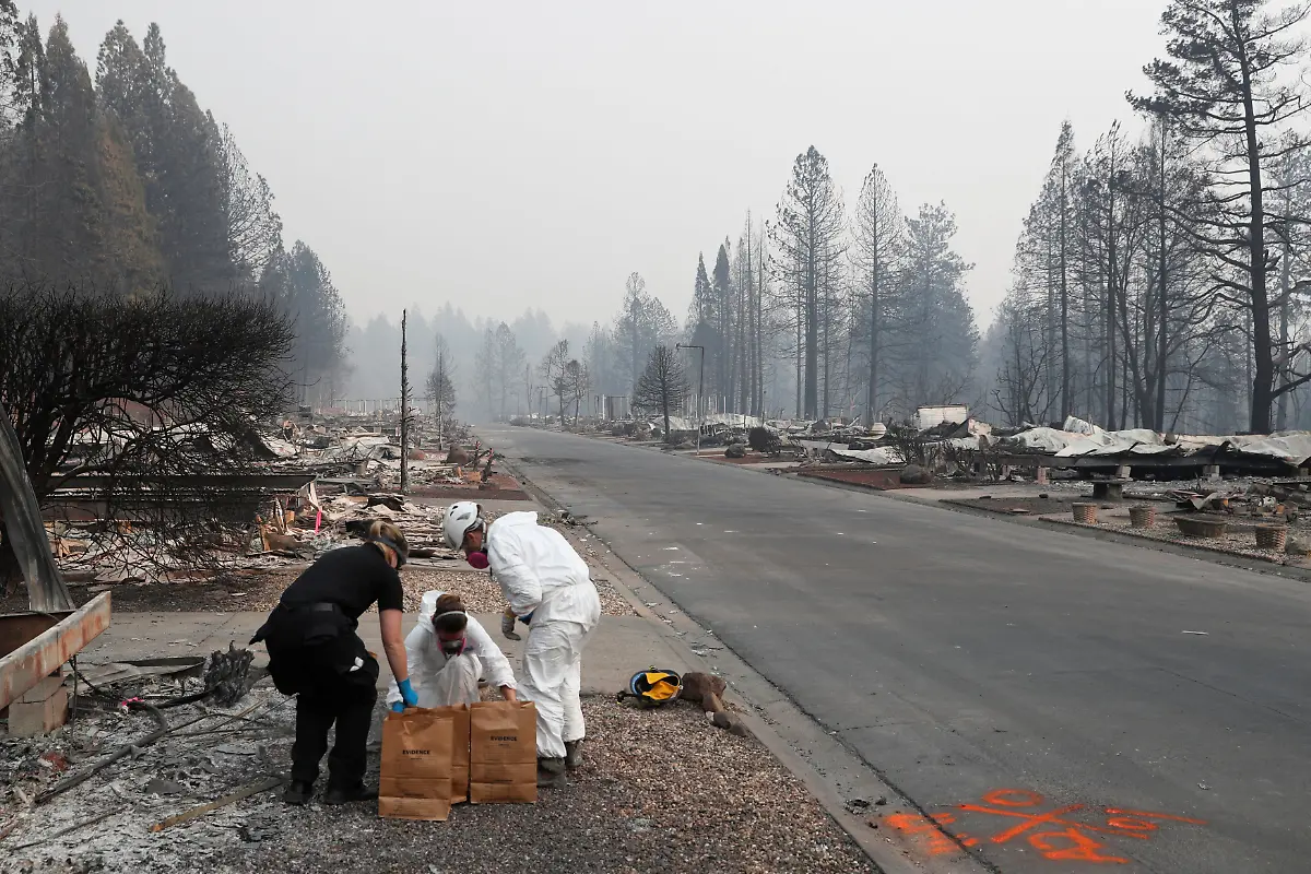 031b45bd8bc472d61e139de1bb879358