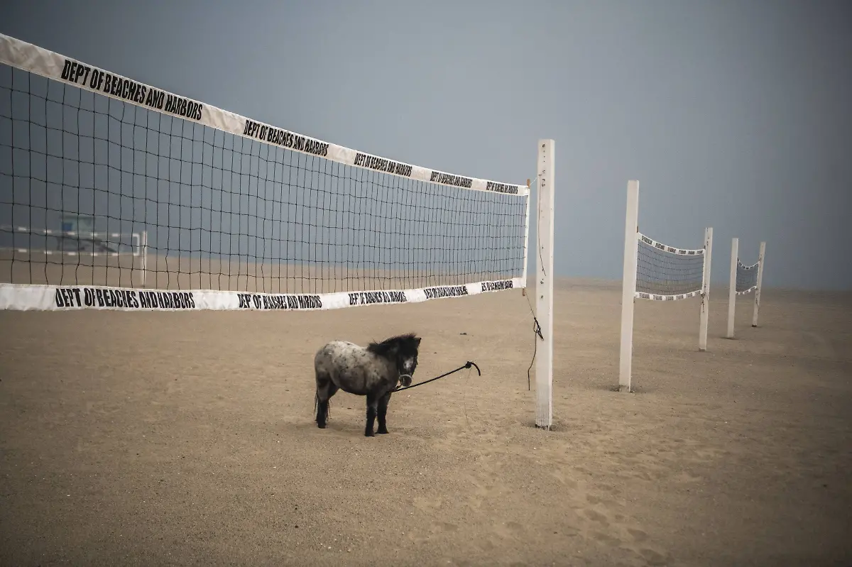 dc490f99d5e4e66333dc22815e4aec0d