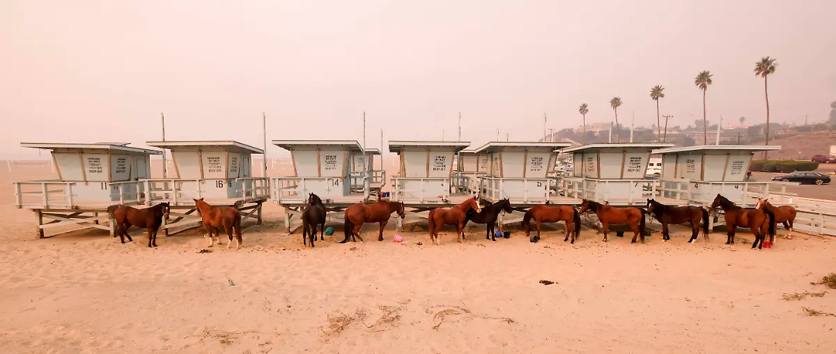 d659cf287da22fe8e6a36bfacc6a6962