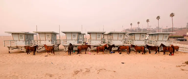 d659cf287da22fe8e6a36bfacc6a6962