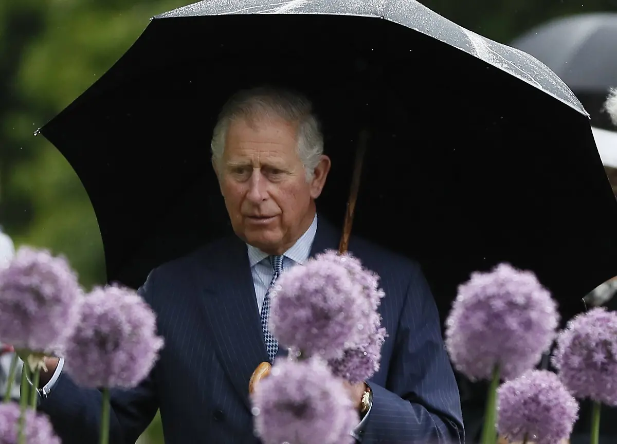 ec82151516b263d76ed4407b8549a2af