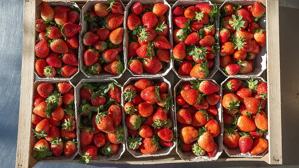 0a9e9671676fd97a2b3b26493697b7f5