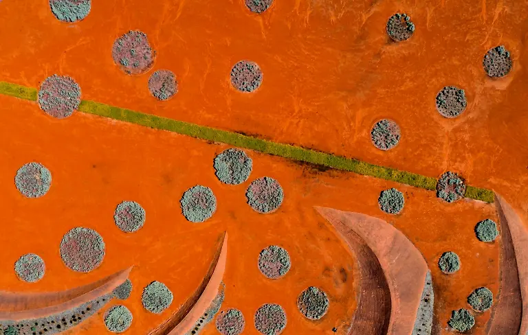 03-Red-Sand-Garden-By-Peter-Virag-Highly-Commended