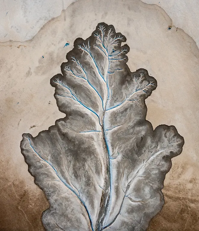 02-Organic-By-Mieke-Boynton-Highly-Commended