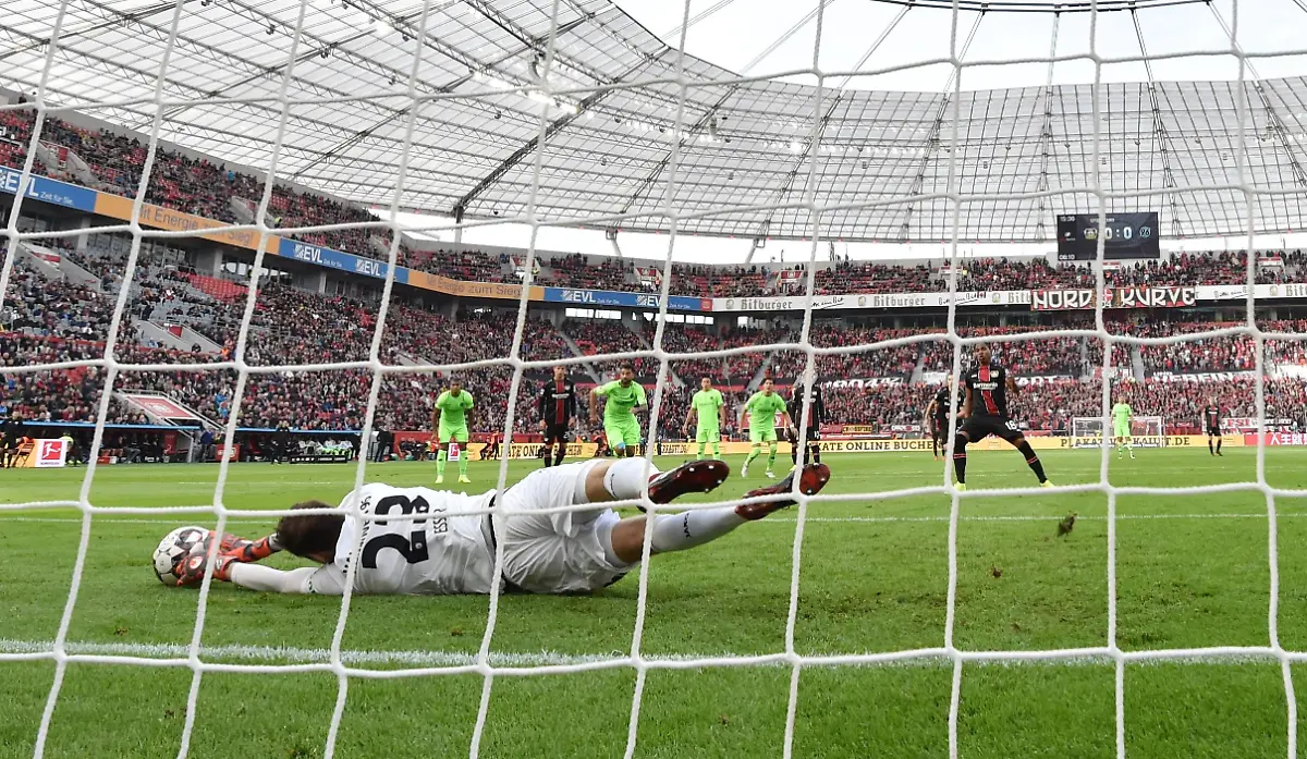 608f361a347895fd688f6db2e9c989d8