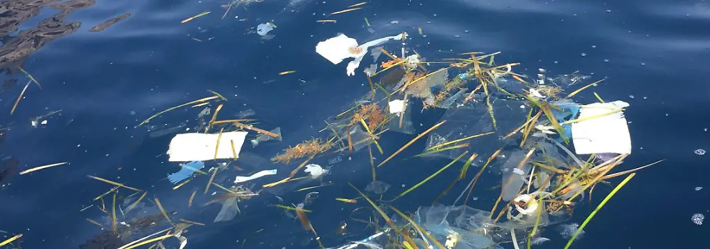 Bild zum Thema Ozeane und Meere