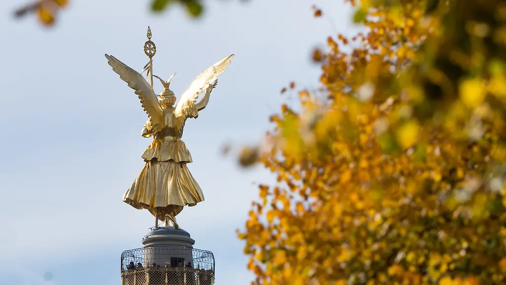 50197775a11248e1d582a03592fe3c70