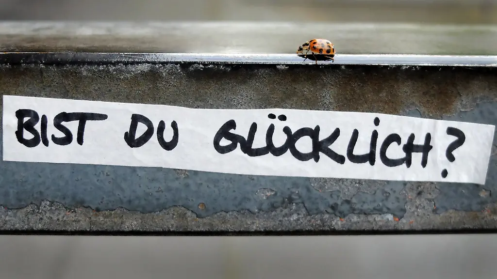 55ac349f50337e40c6e3a8e918f7e4c5