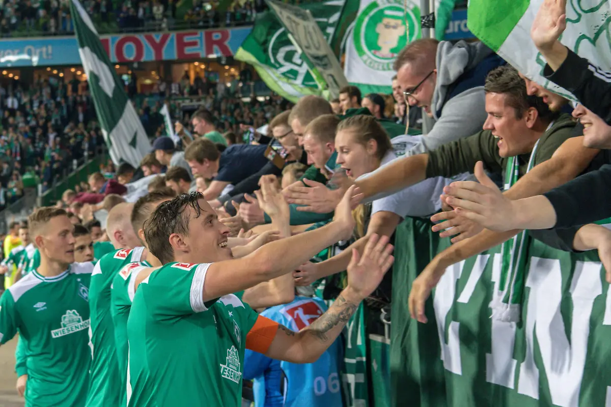 d7f54a2d402a65a6cec5bebe9992946f