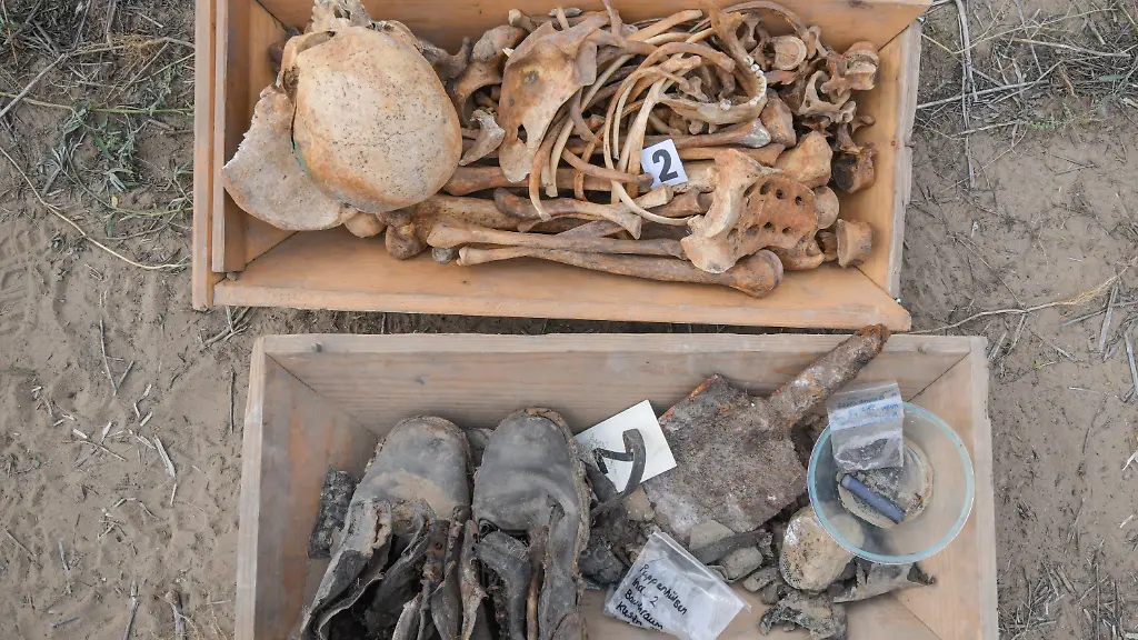 d0d453df88dd83f651e0c7e634670f85