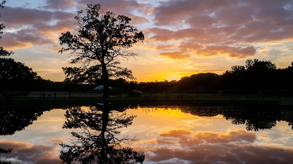 4b82f070bf45992315c6d066c65c42f9