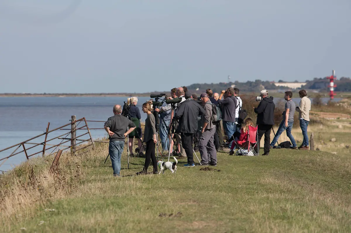 5049107e14b357cfde3be06723fff8db