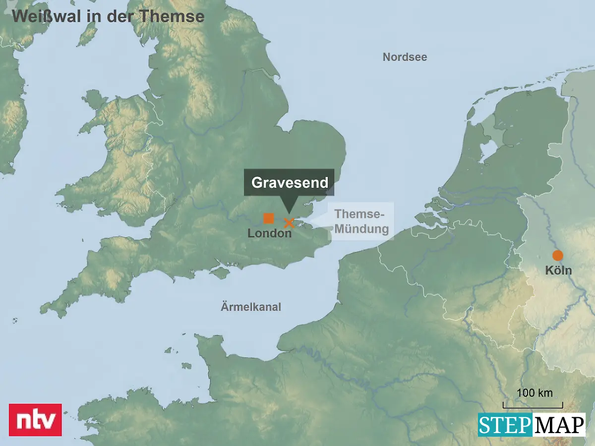 StepMap-Karte-Weisswal-in-der-Themse