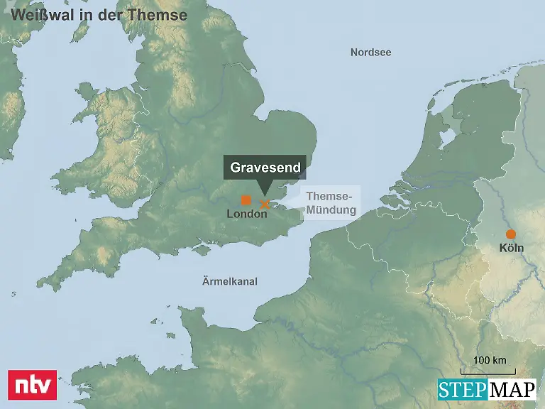 StepMap-Karte-Weisswal-in-der-Themse