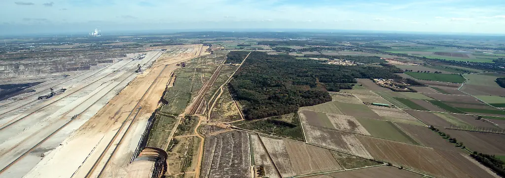 Bild zum Thema Hambacher Forst