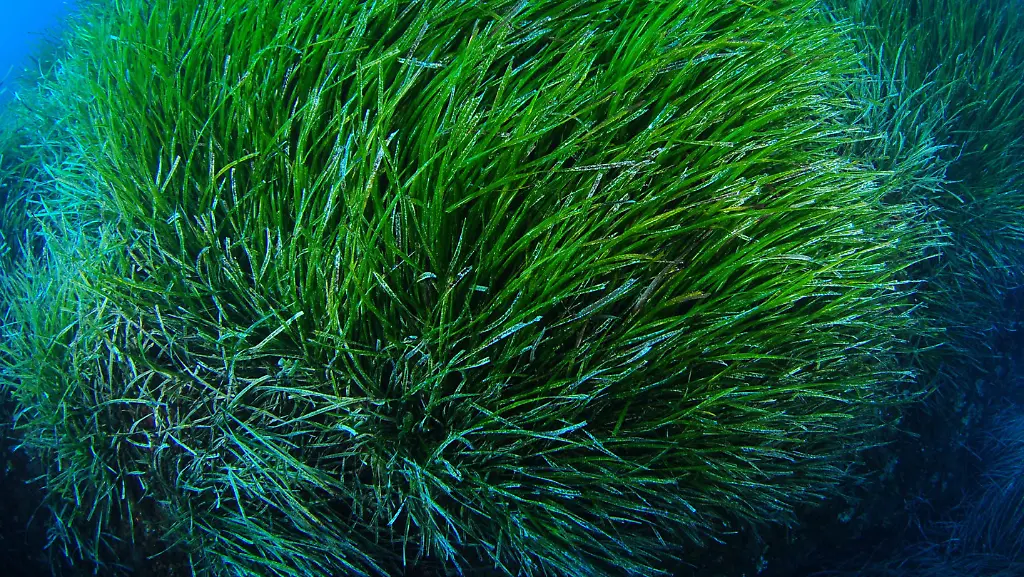 6803c8bad00a93e8d8d7bc3c86449bd9