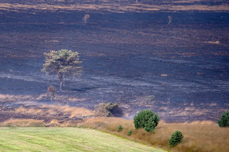 44f814afa777fa1951104a2baf0258ec