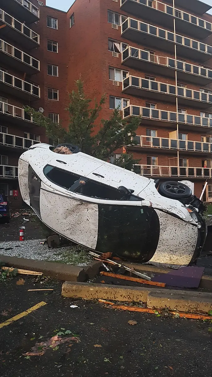 3bceca25b0e03f202d782d6ae6588823