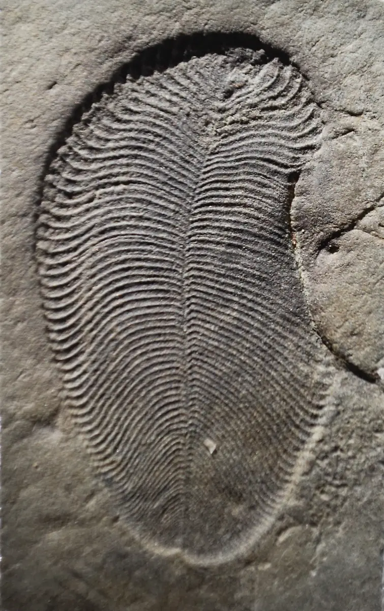 2932b8e80e3b84a71642839ecbb57580