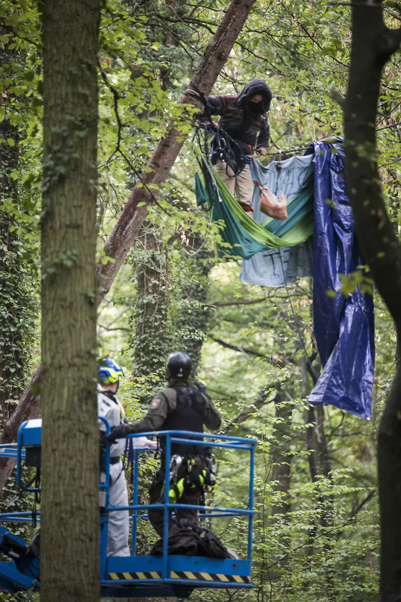 c17f9dcaf7c1eec02a53781a1261fd39