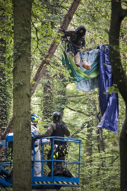 c17f9dcaf7c1eec02a53781a1261fd39