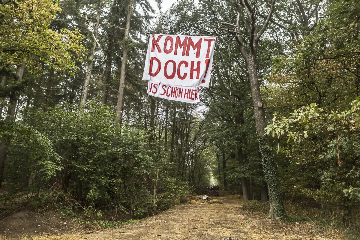 2e02d7c99d9d67785816a815c426d80c