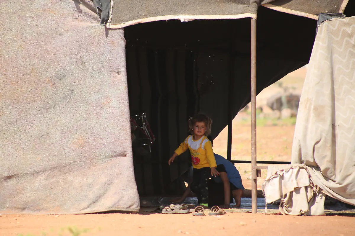 623ec1ee9103b78da80b3b8d004451b3