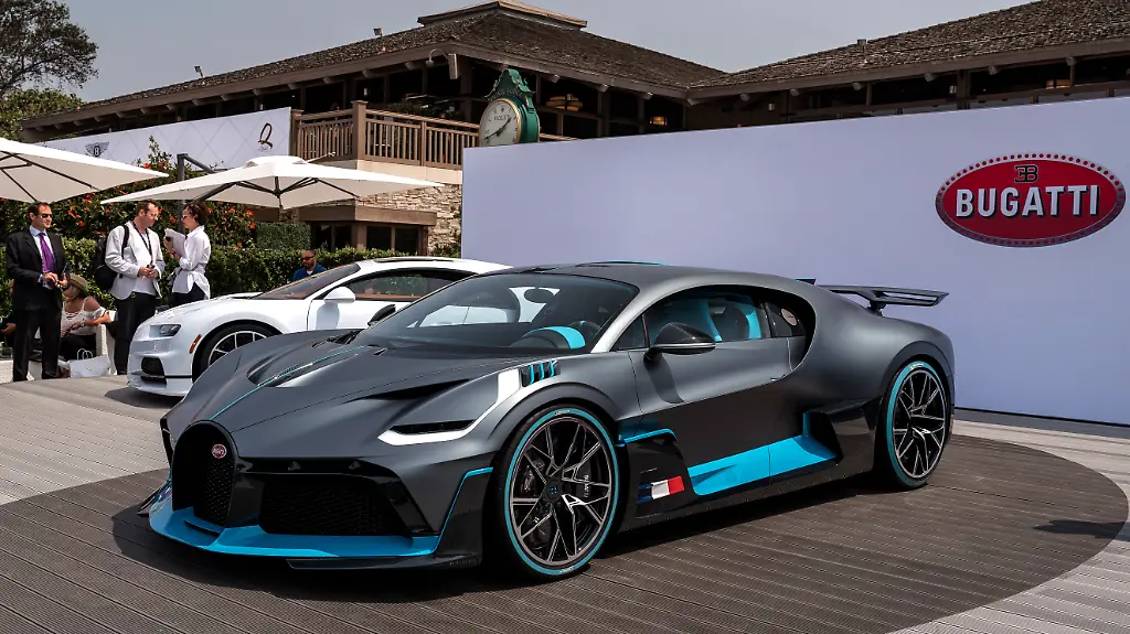 BUG-Divo-TheQuail-04