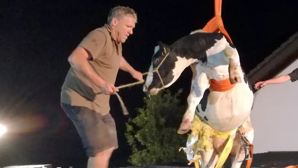 02270ba8126d97eb61c8cca57fcf053a