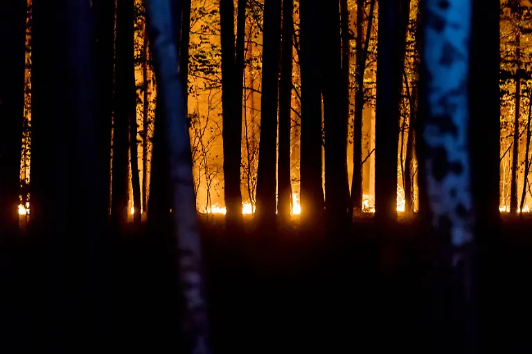 75afce210968d5386494ccc62ffc6b2e