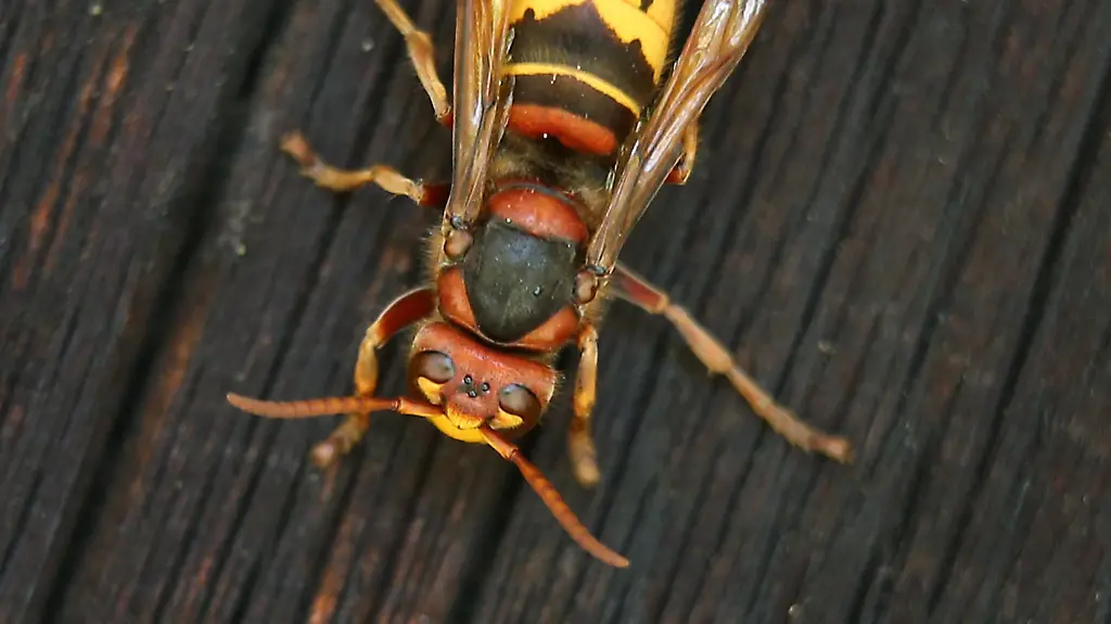 1b049c00131e3aaf47c00e570b54ce4d