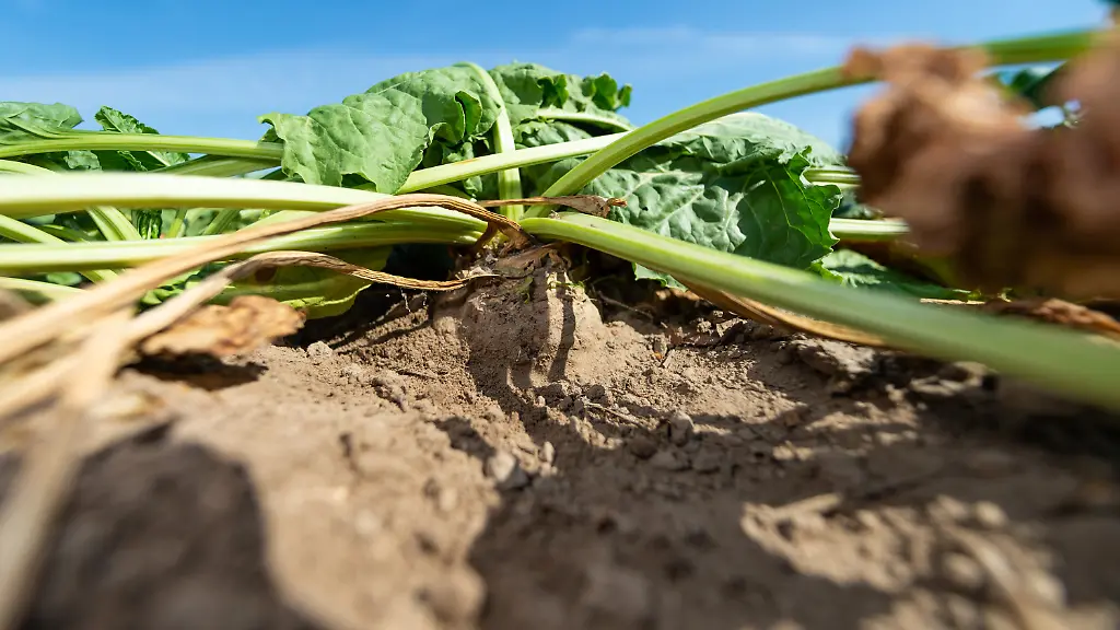 2851b2d09859adc828d90f68616b32a4