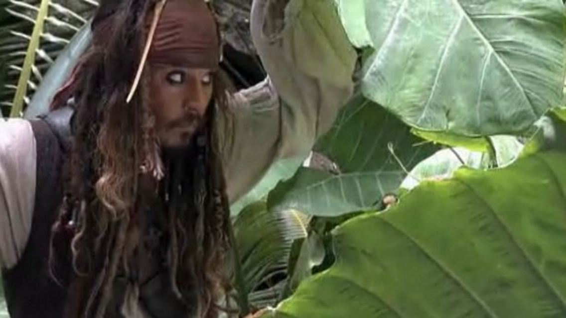 Depp.JPG