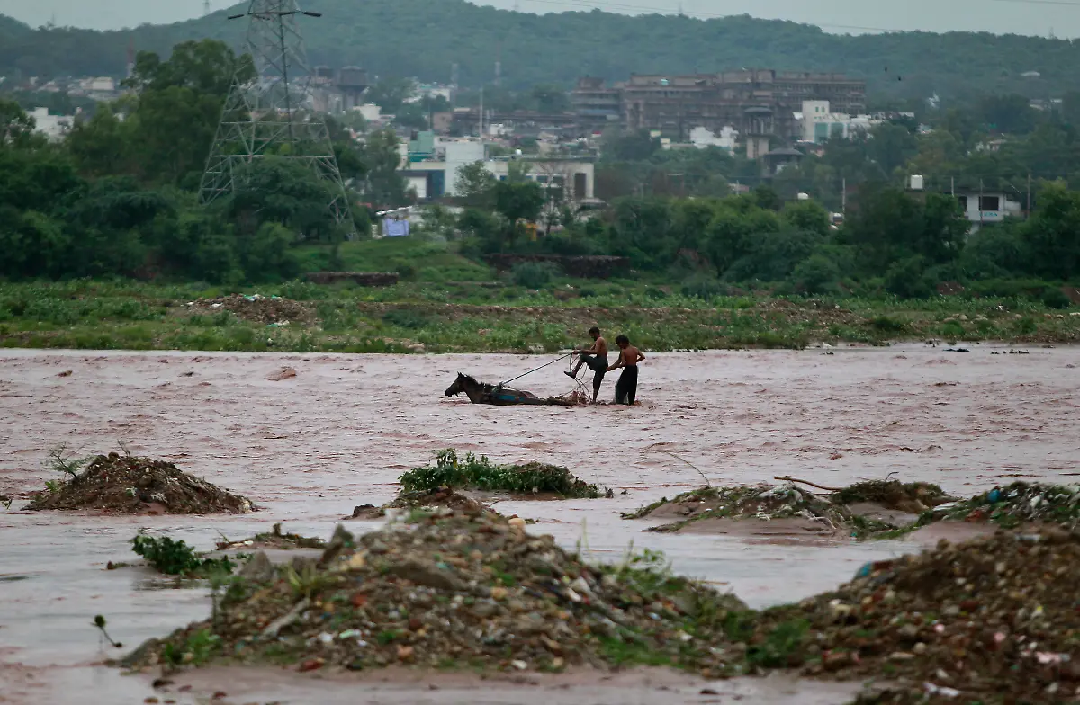 6d1d38bf58e2eb5d359fd73f8ea53c51