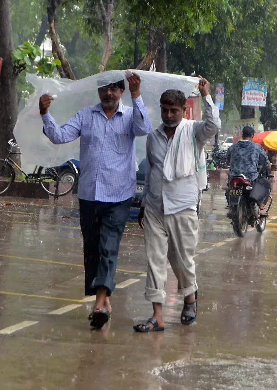 074492f10f42859044c7a26323e41017