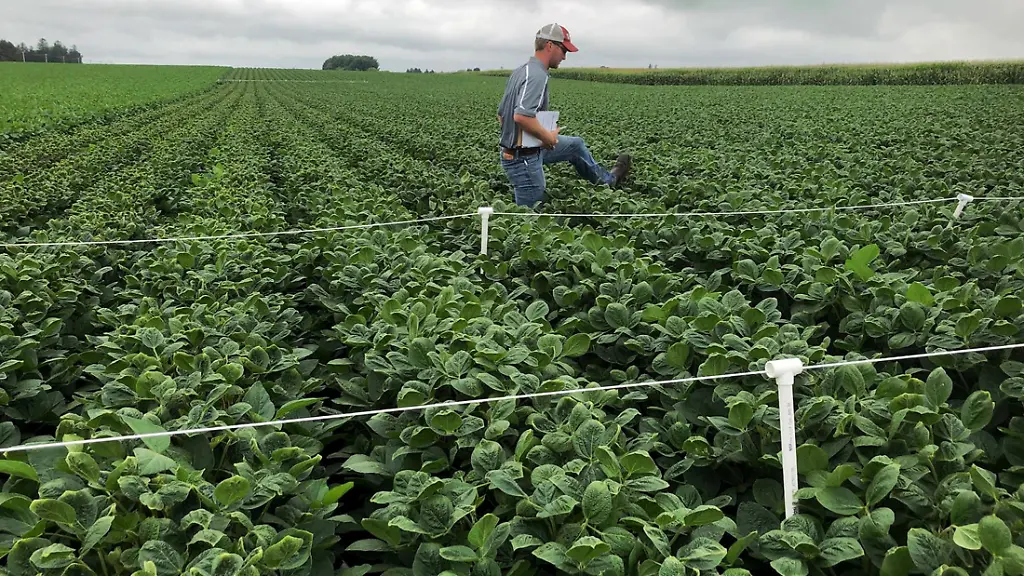 a72e50905d57b501b4fbc0e70069a8ef